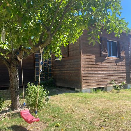 Le Chalet Pignantais Avec Option Jacuzzi Pignans Exterior photo